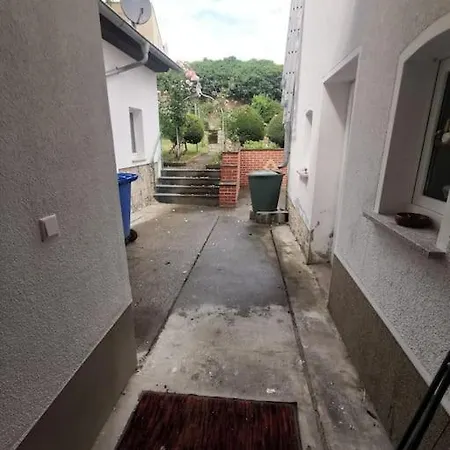 Apartment Mit Garten Und Terrasse, Zentral Und Ruhig Freyburg
