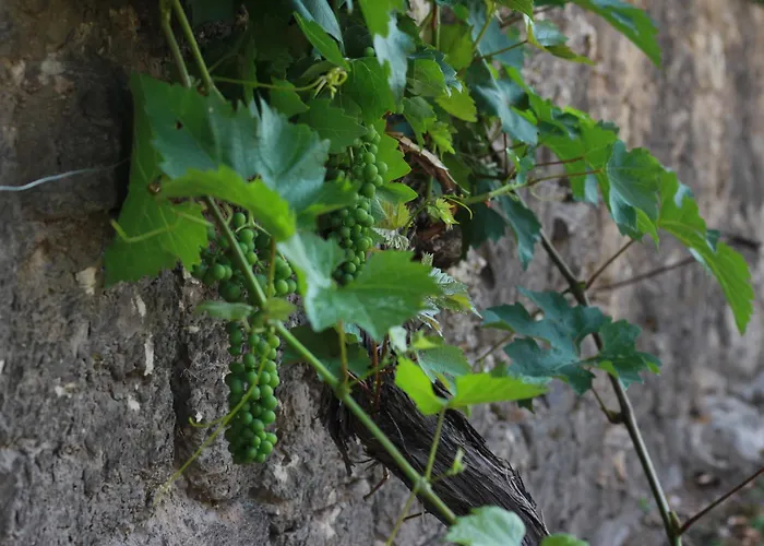 Lejlighed Mit Garten Und Terrasse, Zentral Und Ruhig Freyburg