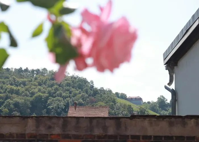 Mit Garten Und Terrasse, Zentral Und Ruhig Freyburg